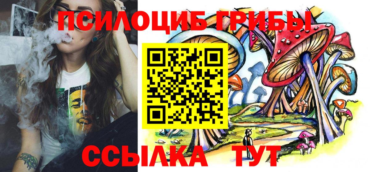 Псилоцибиновые грибы GOLDEN TEACHER  Псилоцибиновые грибы ЛСД  Вход с VPN  Новоалтайск 